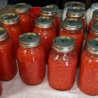 https://www.southerncravings.com/wp-content/uploads/2020/08/Canning-Tomatoes-17-e1597158879246-200x200.jpg.webp