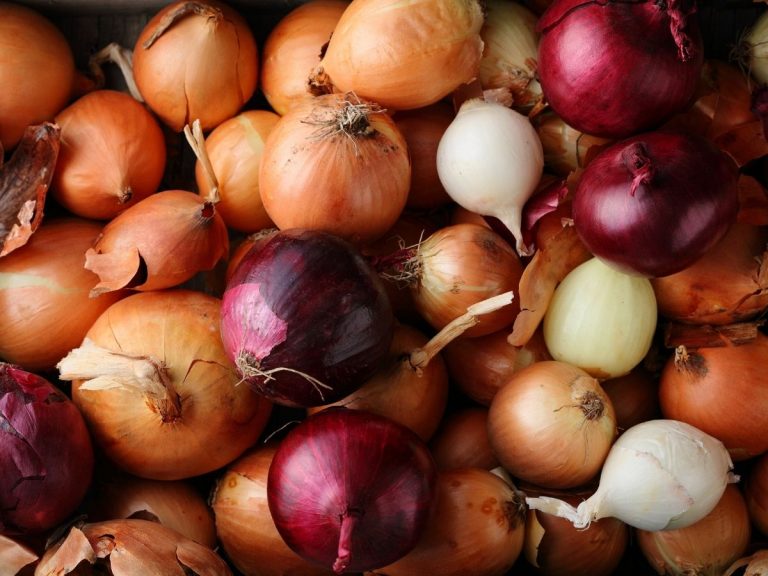 Different Types of Onions and Their Uses