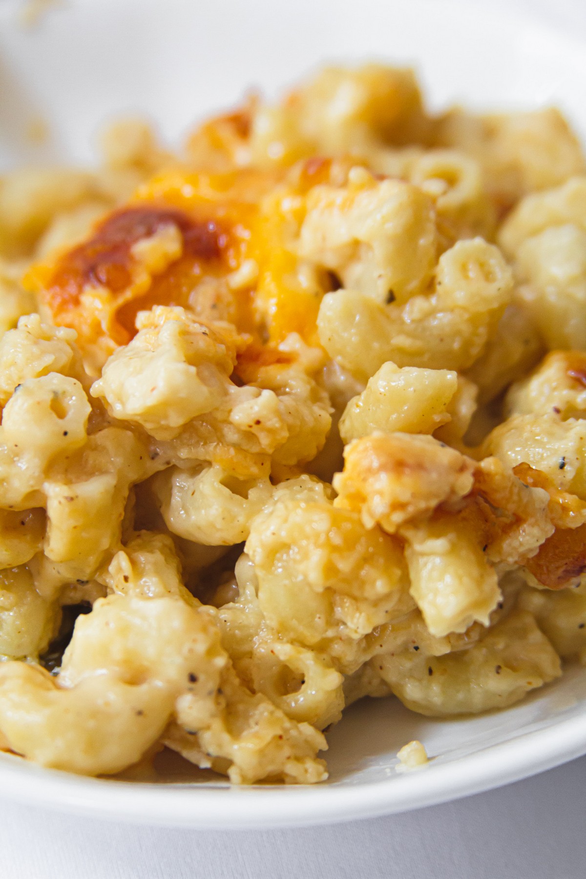 Best Oven-Baked Mac and Cheese Recipe - Southern Cravings